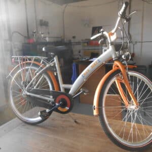 Max2bike mountainbike